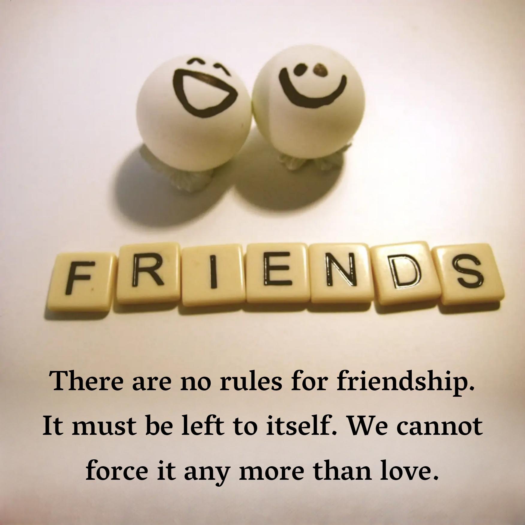 There are no rules for friendship It must be left to itself