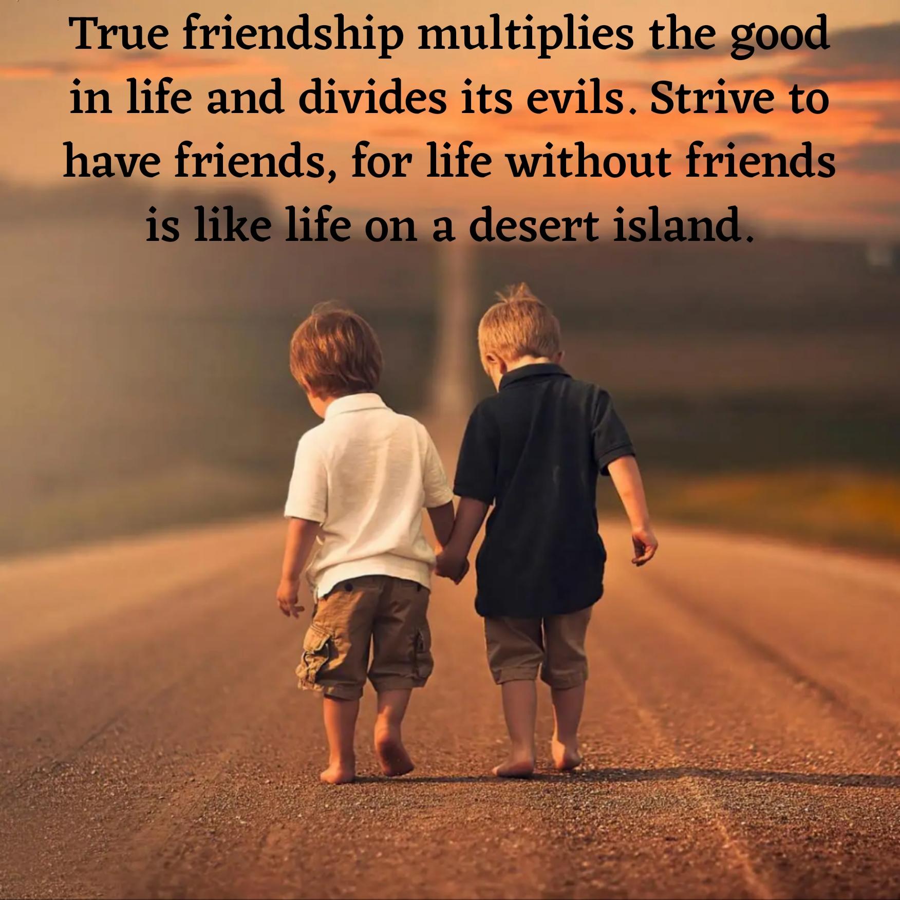 True friendship multiplies the good in life and divides its evils
