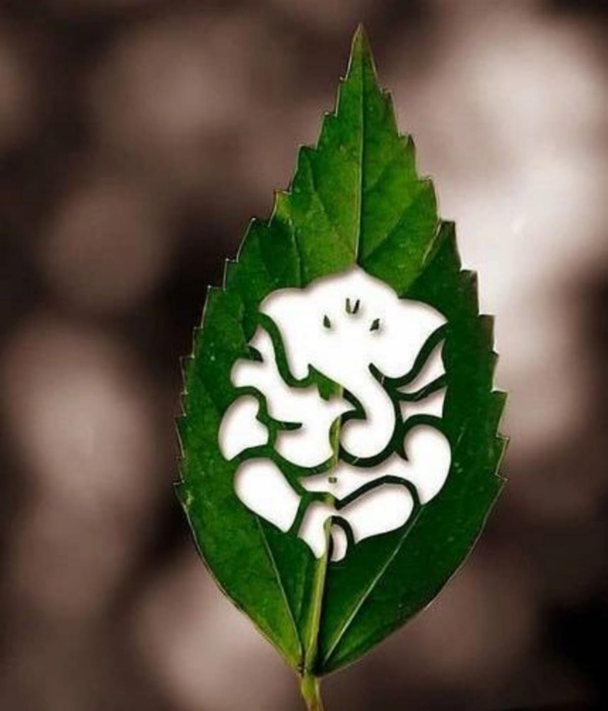 Ganpati Leaf Image