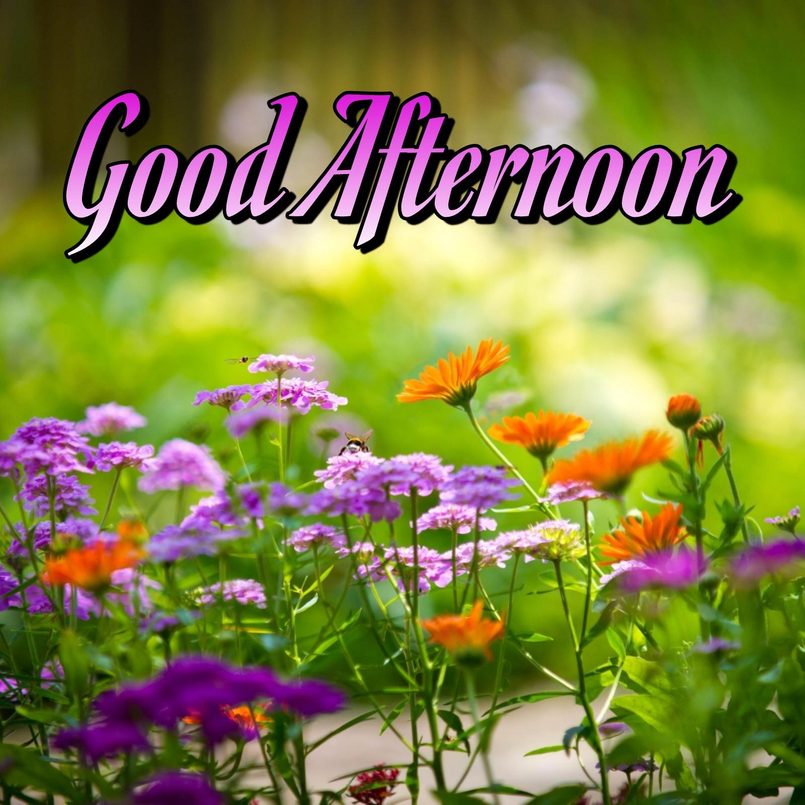 Good Afternoon Flowers Ke Sath