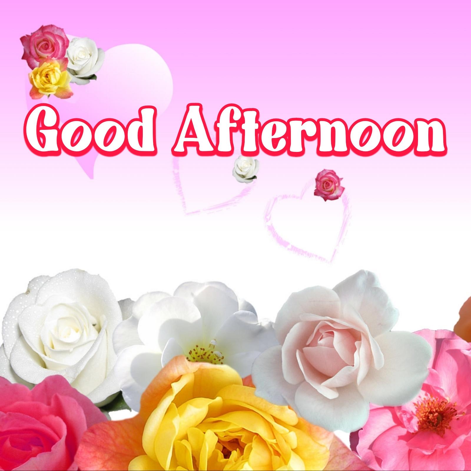 Good Afternoon Picture Download