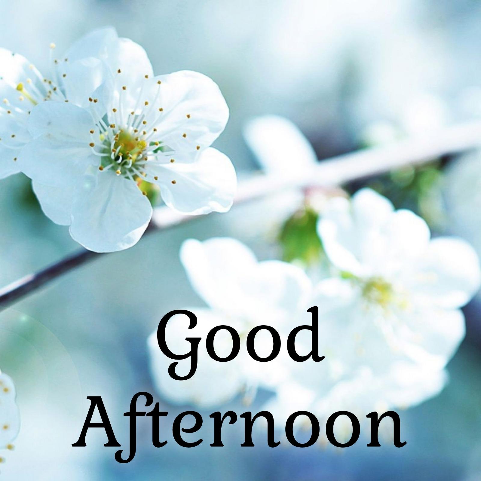 Good Afternoon Wishes Images