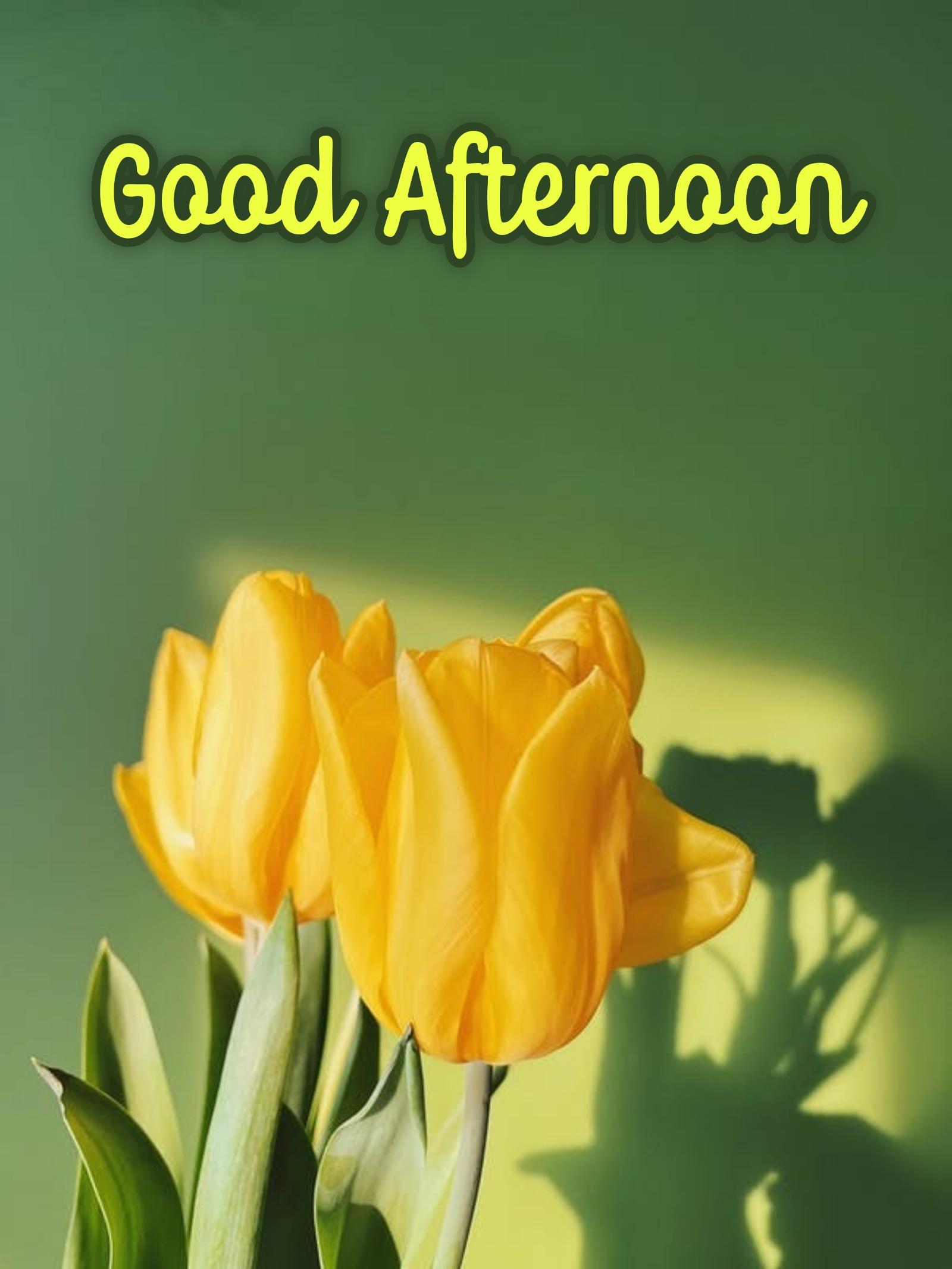 Good Afternoon Wallpapers  Top Free Good Afternoon Backgrounds   WallpaperAccess