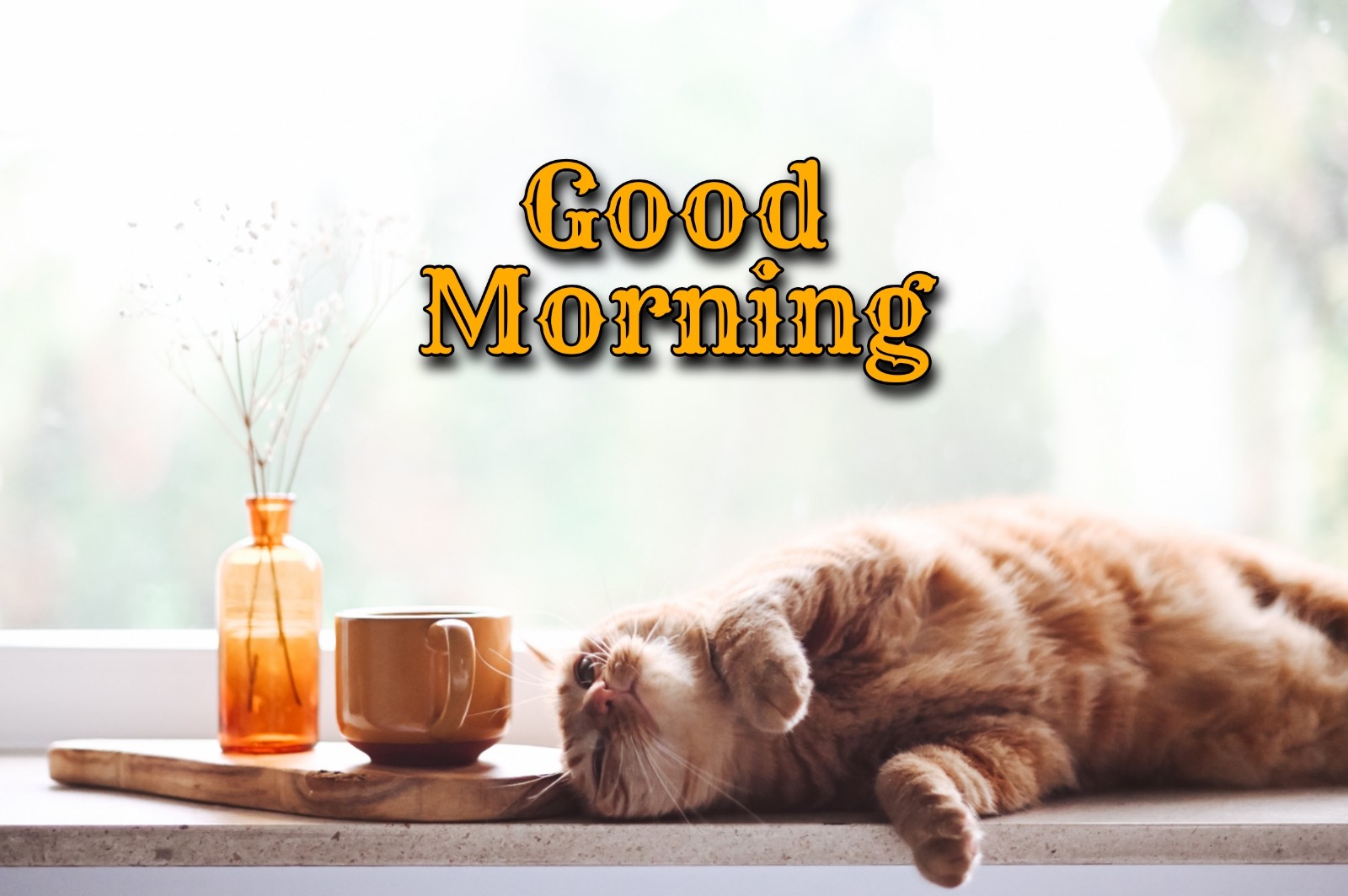 Good Morning Coffee Cat