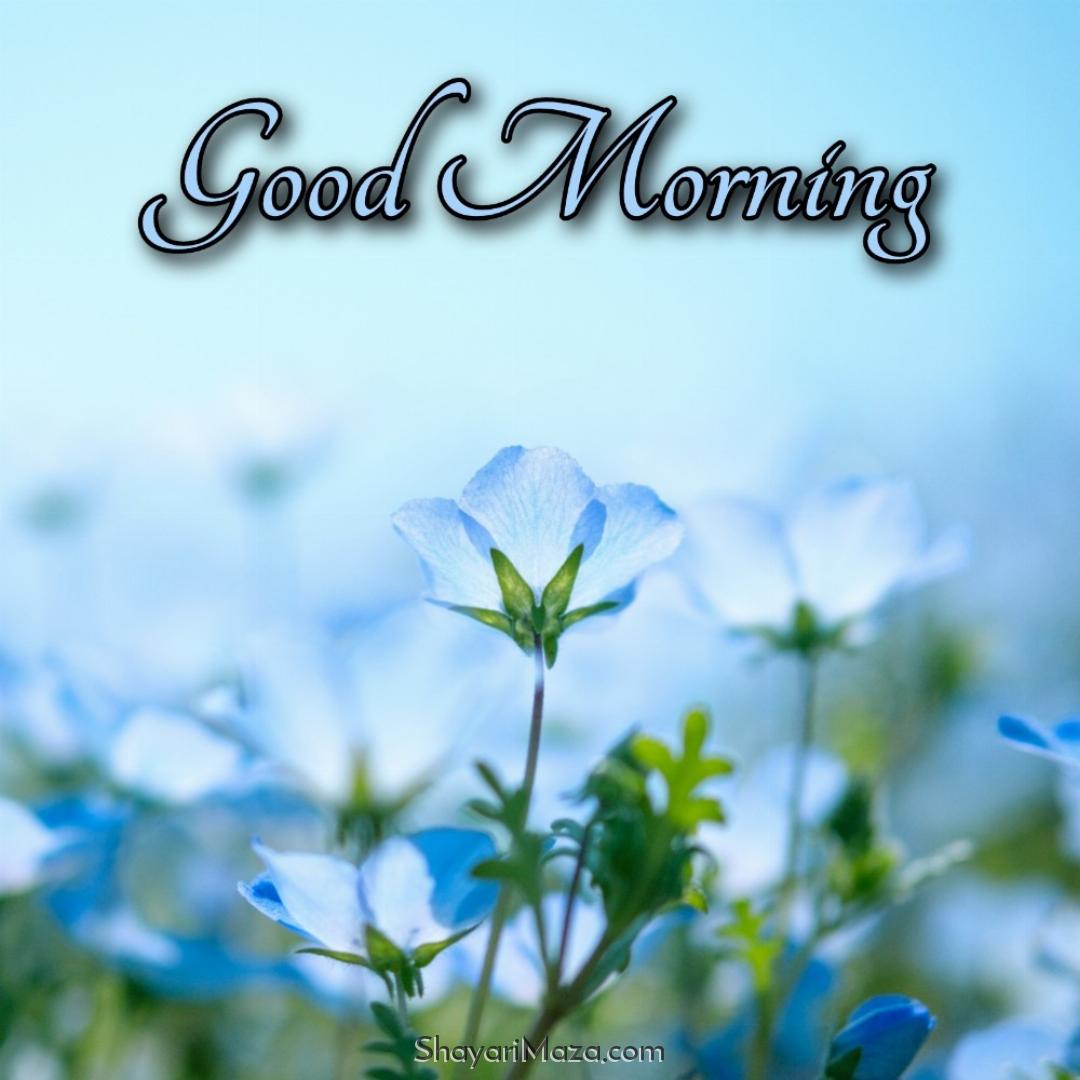 Flower Wallpaper Full Hd Good Morning