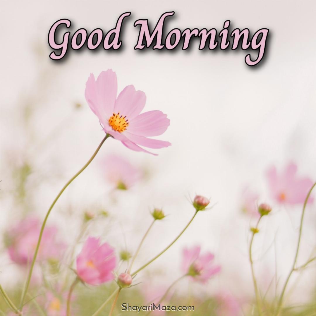 Good Morning Flower Card