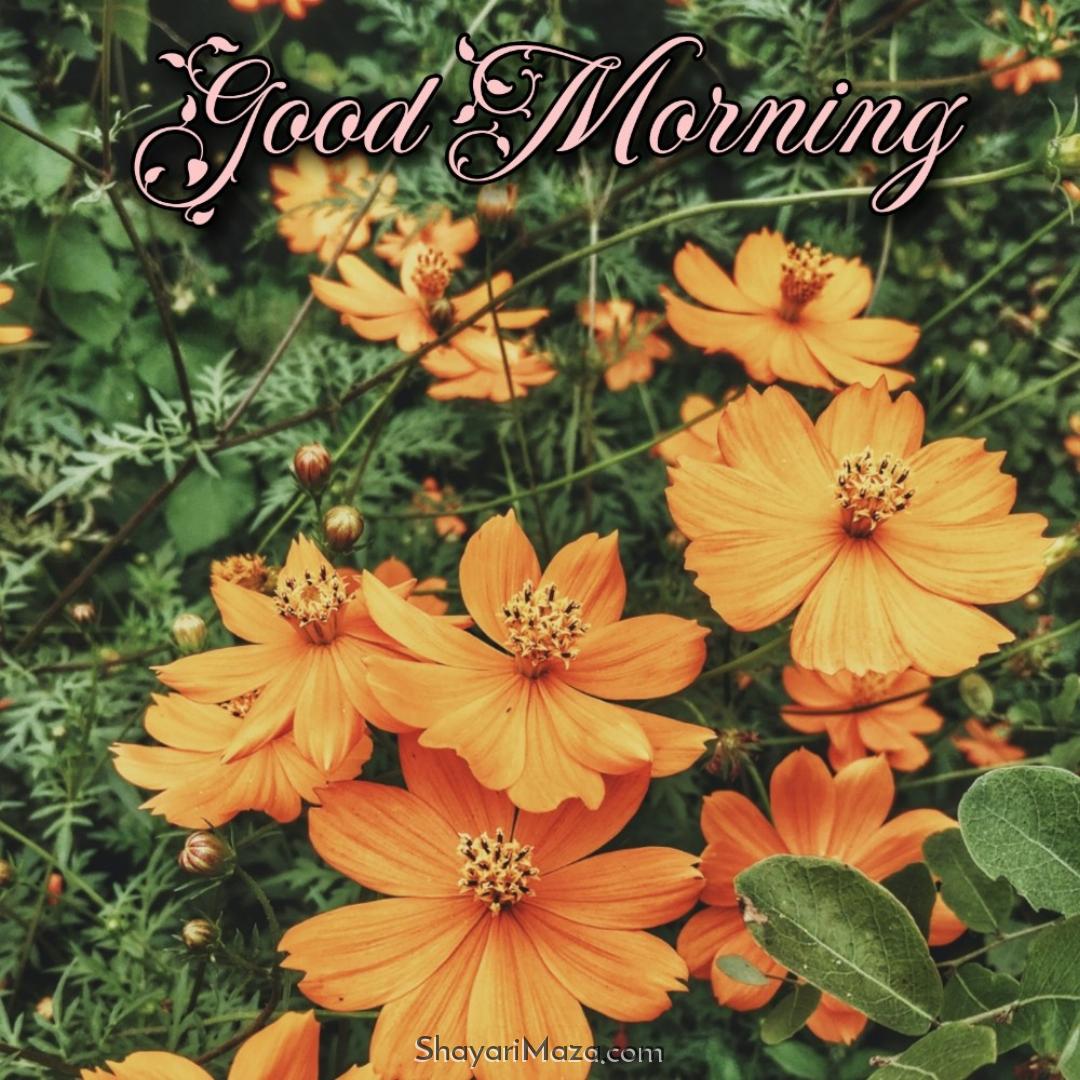 Good Morning Flower Cards