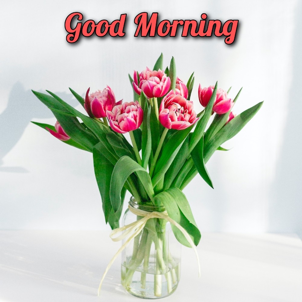 Good Morning Flower Chitra 2021