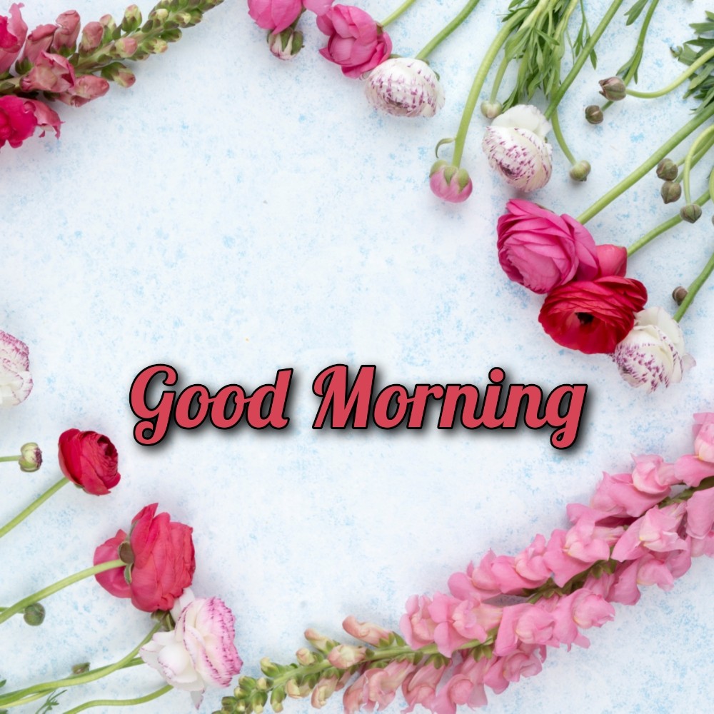 Good Morning Flower Images