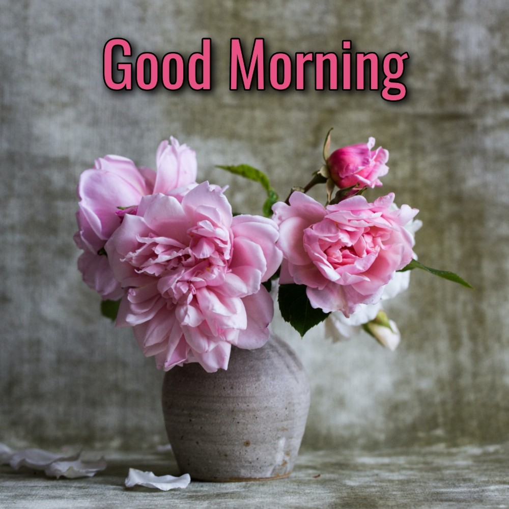 Good Morning Flower Pot