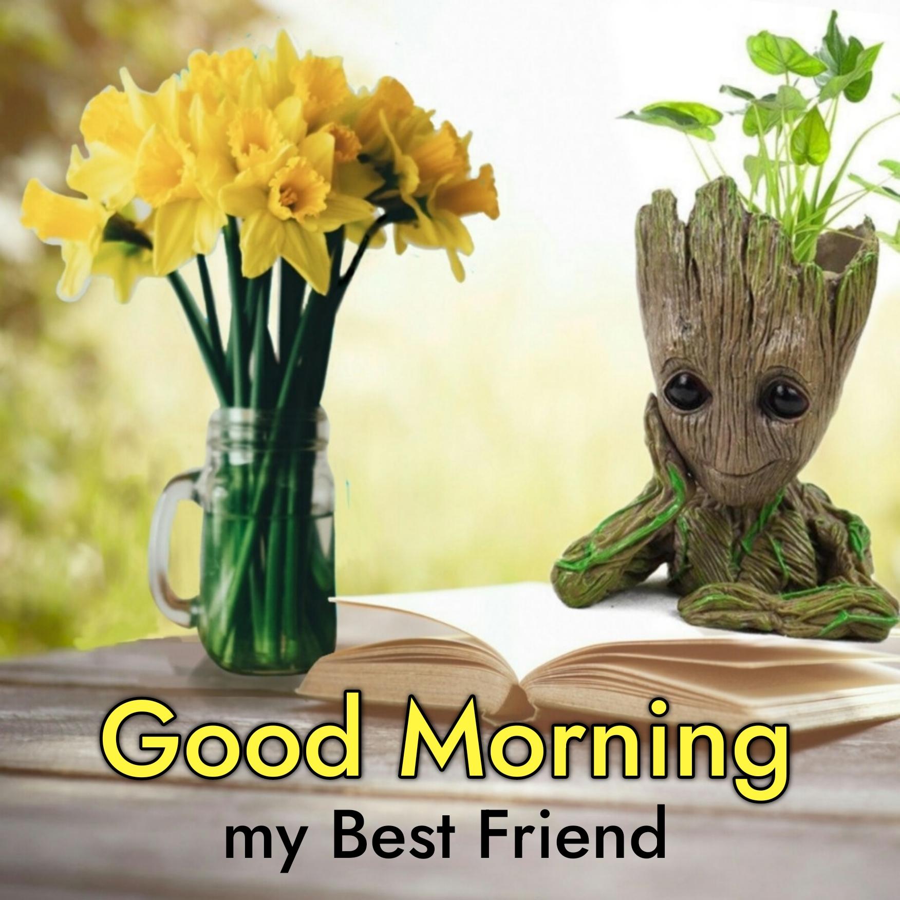 Best Friend Good Morning Images
