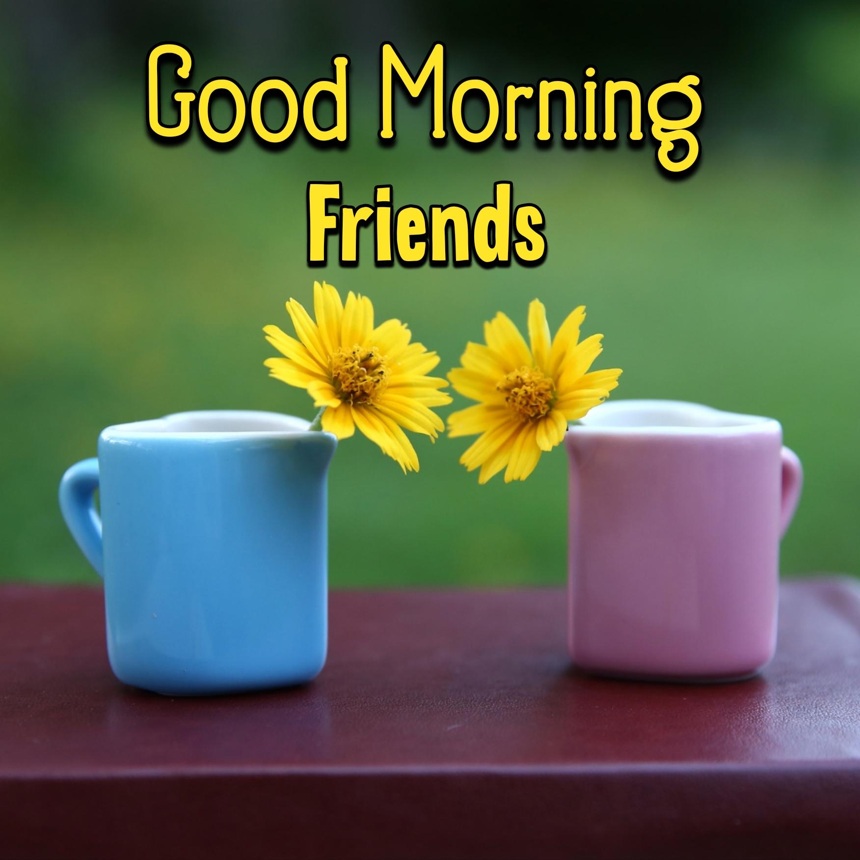 Friend Beautiful Good Morning Images