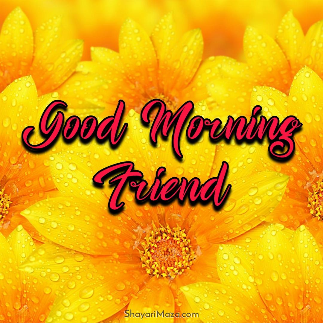 Friend Good Morning Photo