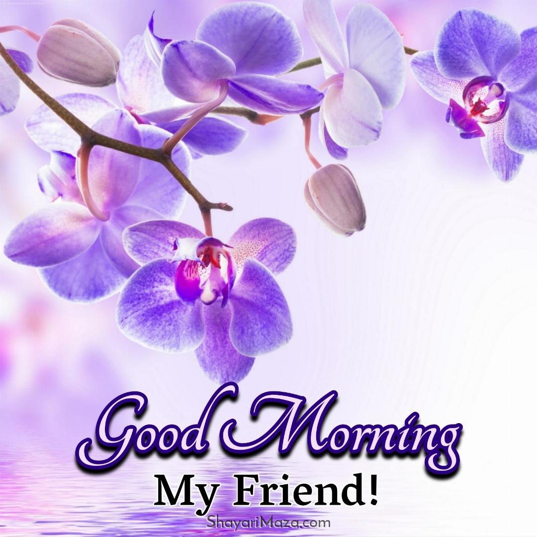 Friendship Good Morning Photos