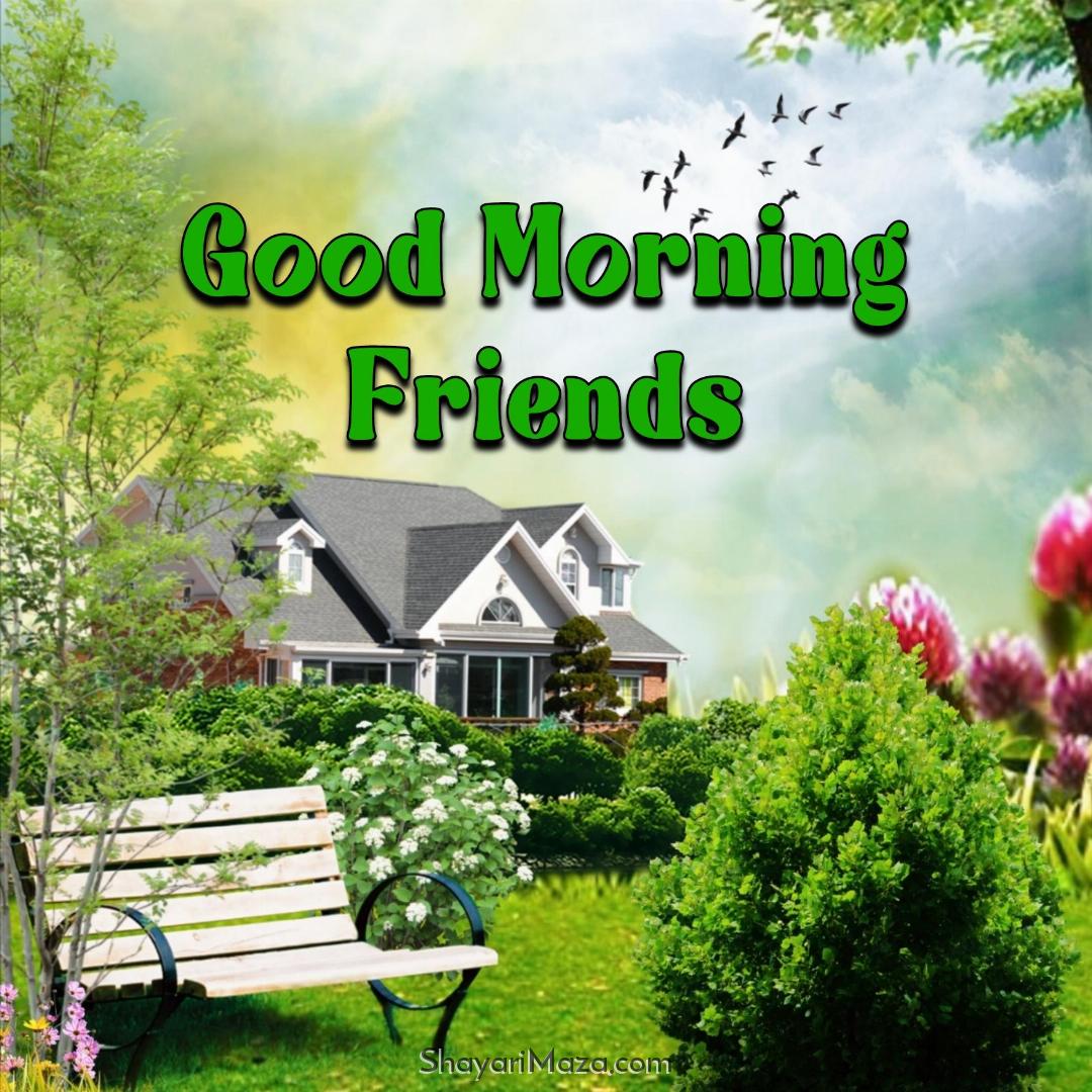 Friendship Good Morning Pic