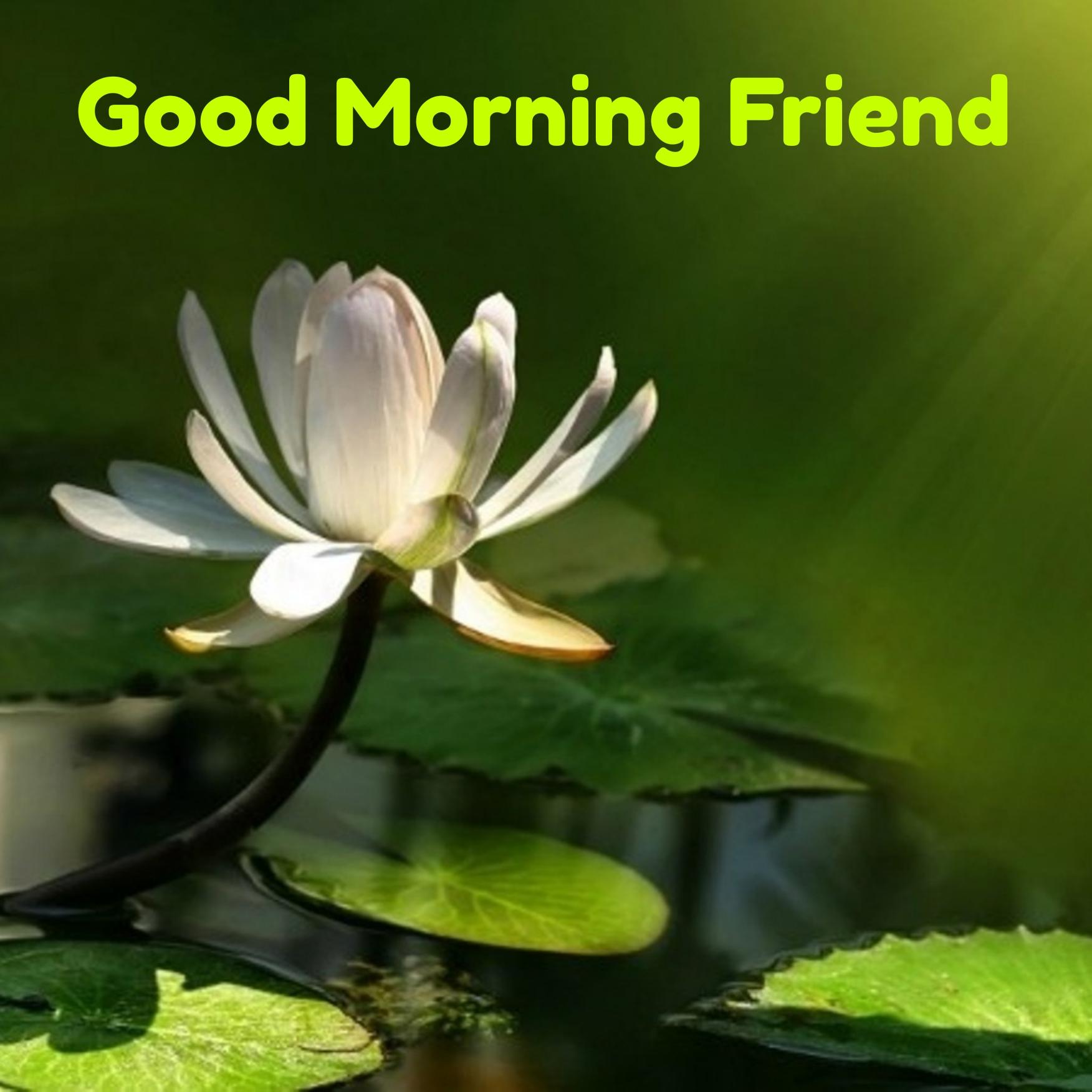 Good Morning Images For Best Friend
