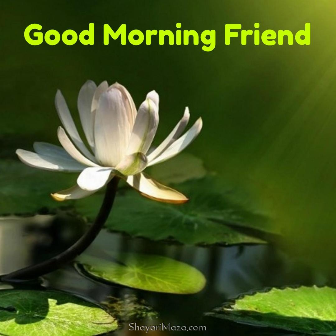 Good Morning Images For Best Friend