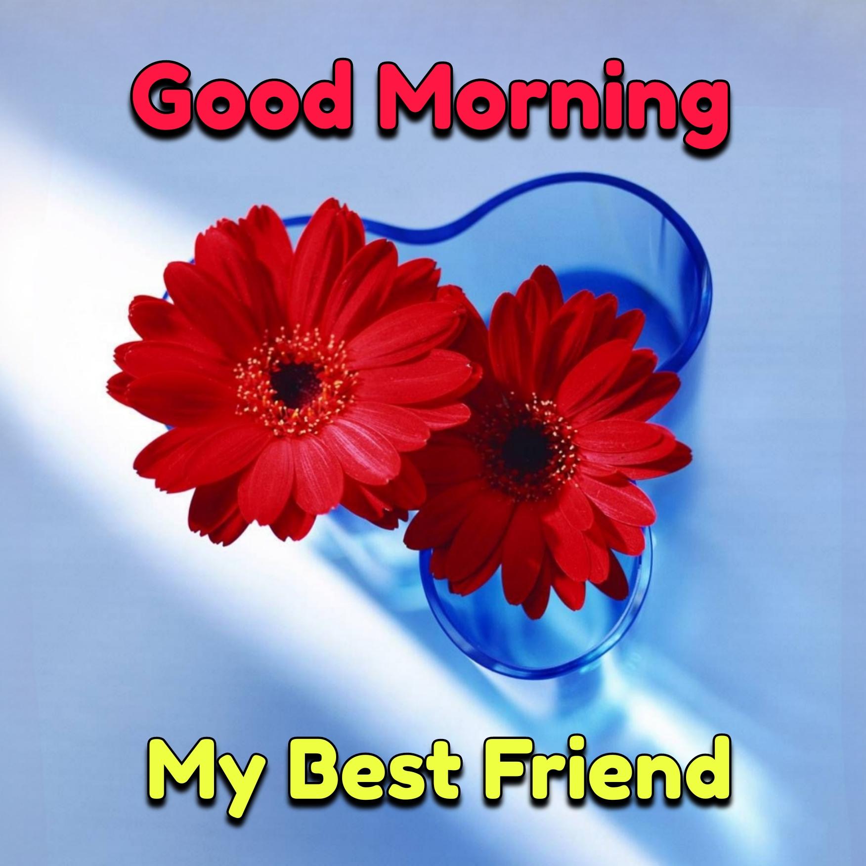 Good Morning My Best Friend Images