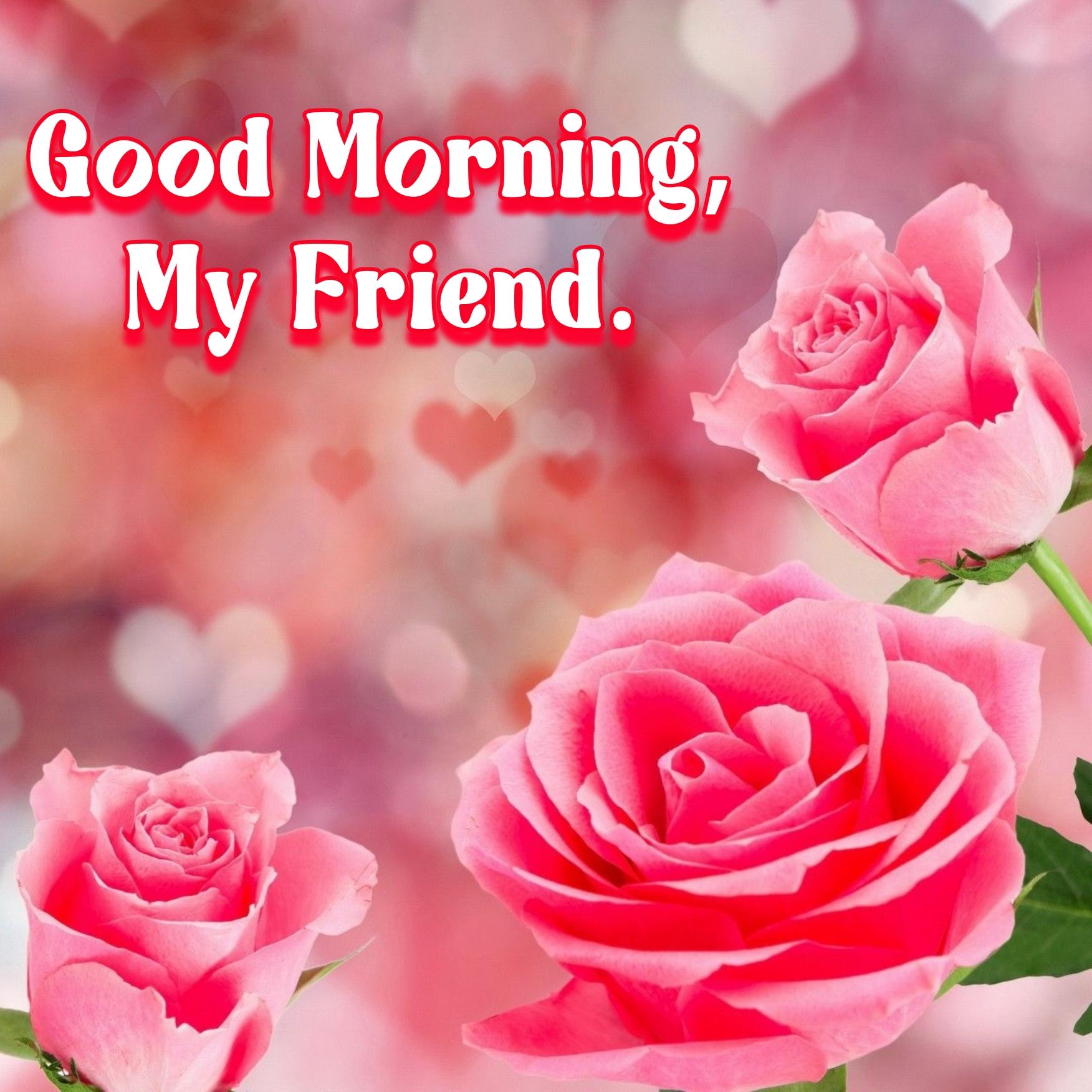Good Morning My Friend Images