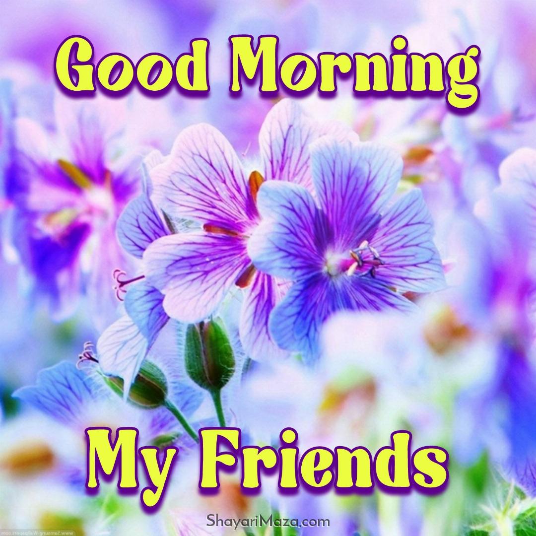 Good Morning Photos Friendship