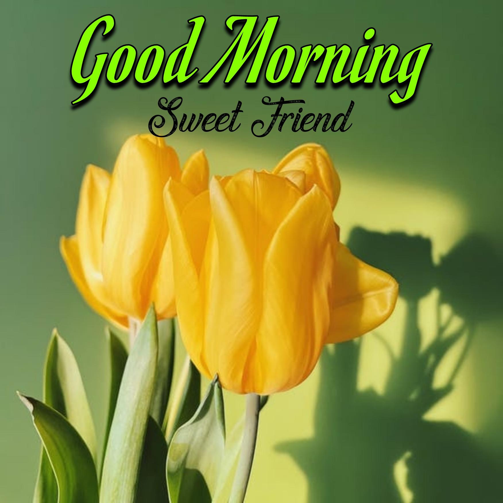 Good Morning Sweet Friend Images