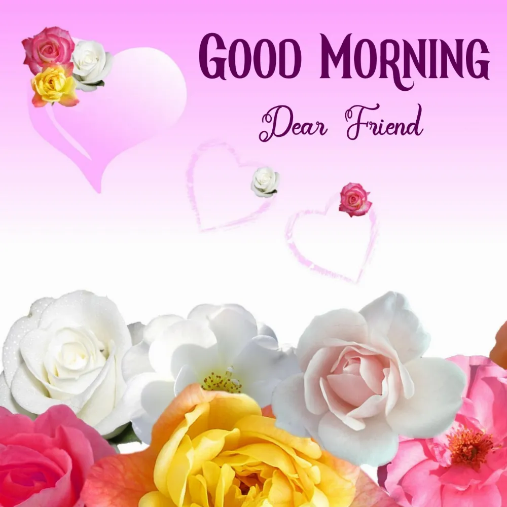 Special Friend Good Morning Images