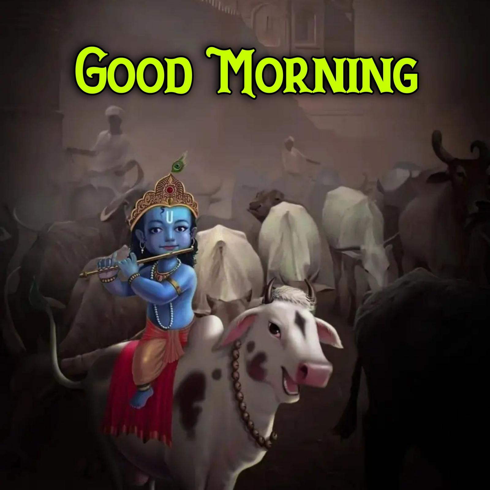 Beautiful Good Morning Krishna Images