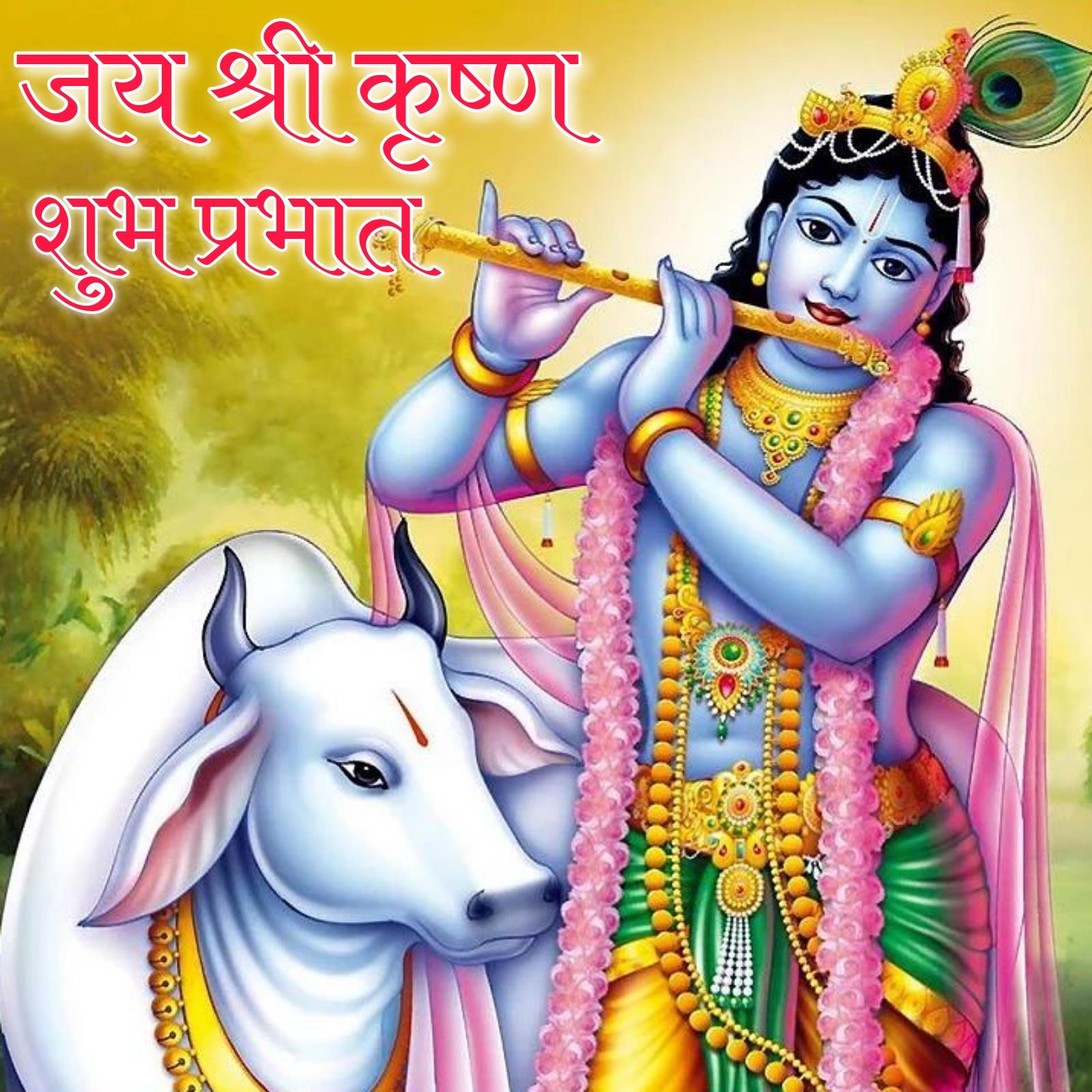 Jai Shri Krishna Good Morning Images in Hindi