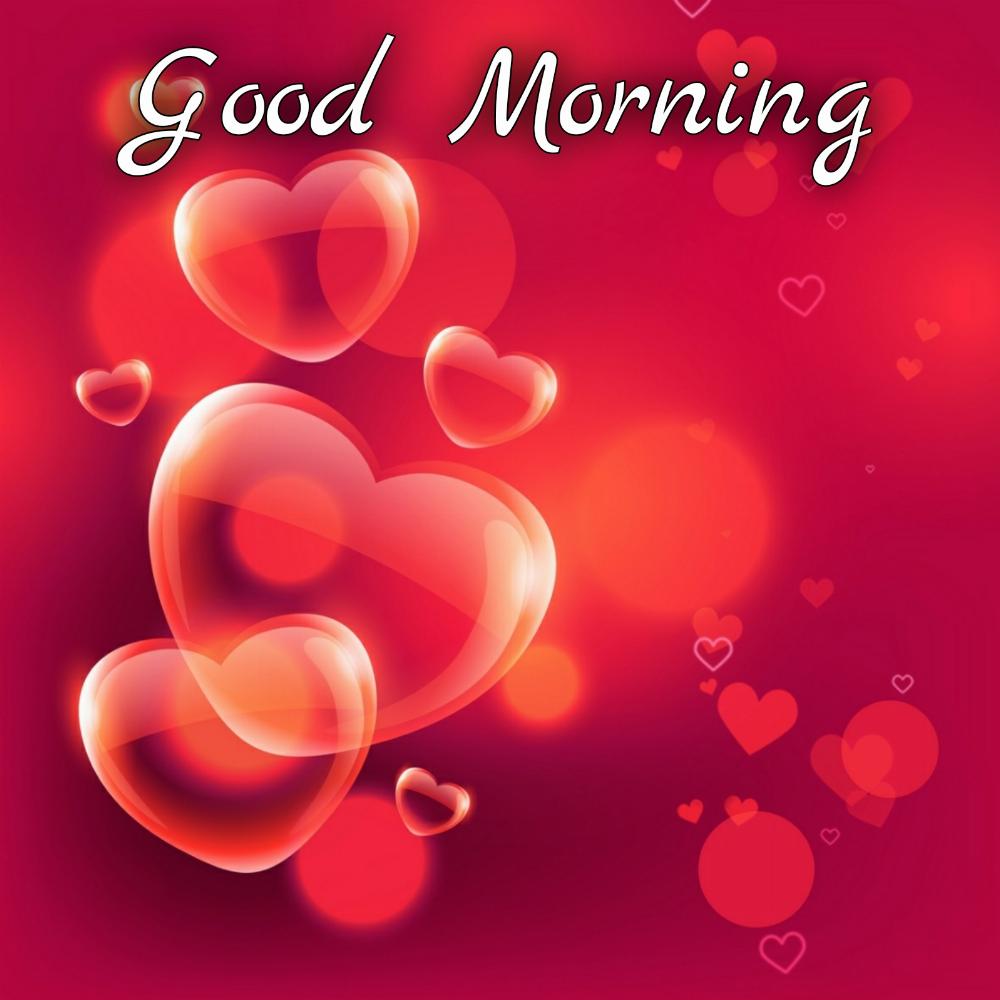 Good Morning Love Images 2022 HD Download - ShayariMaza