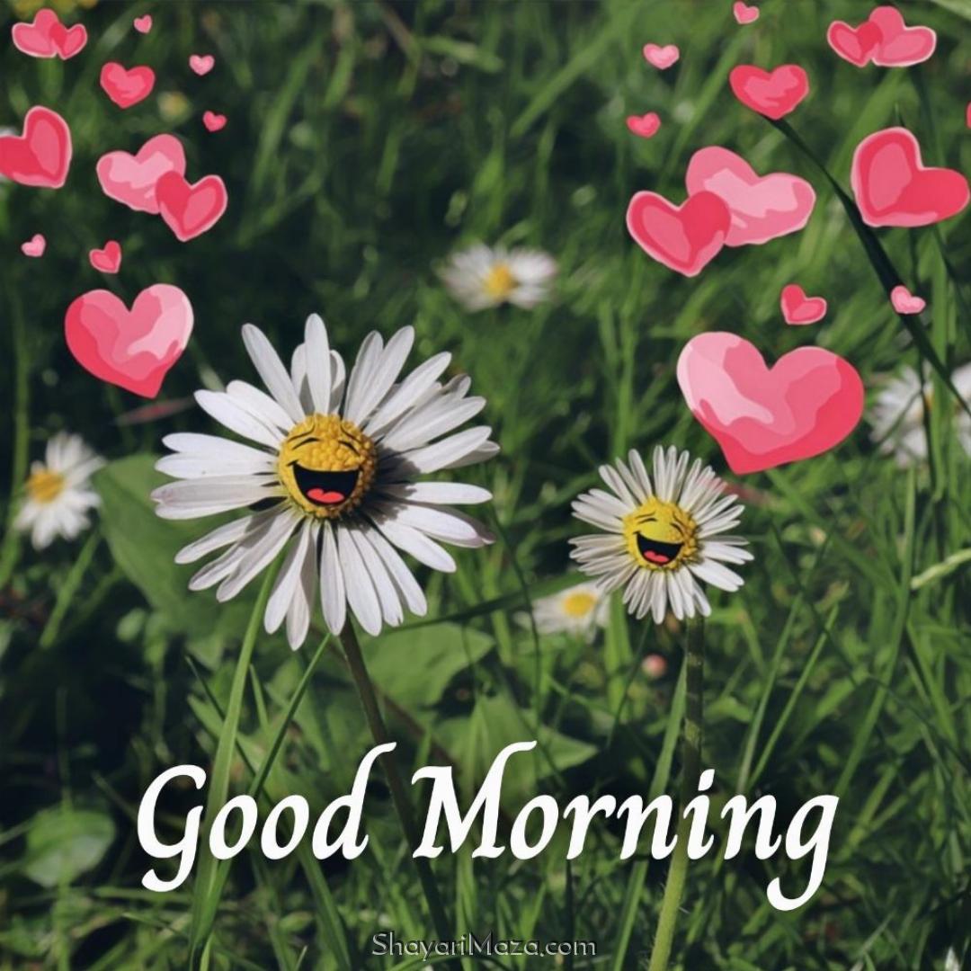 Good Morning Love Images Hd