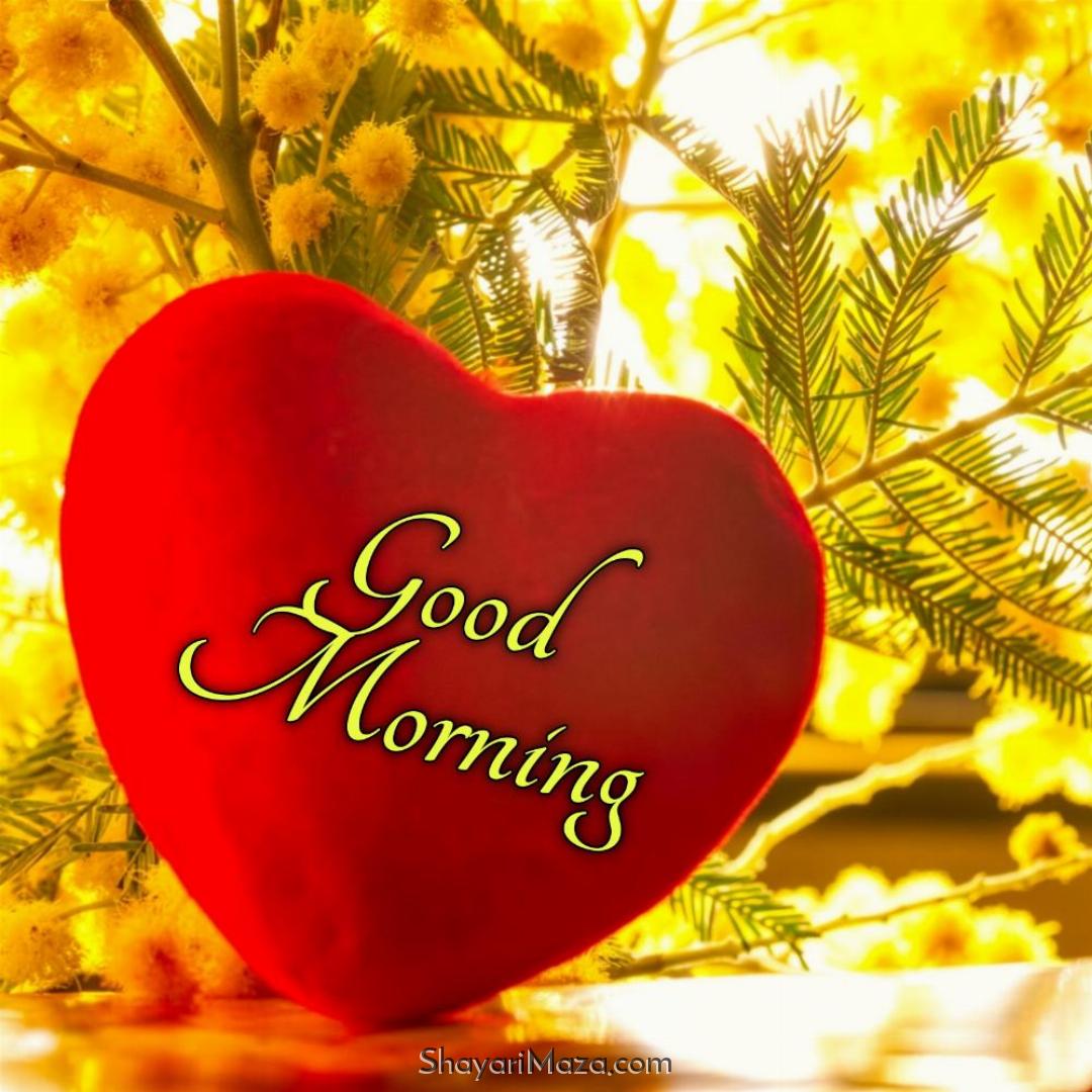 New Good Morning Love Images 2022 HD Download