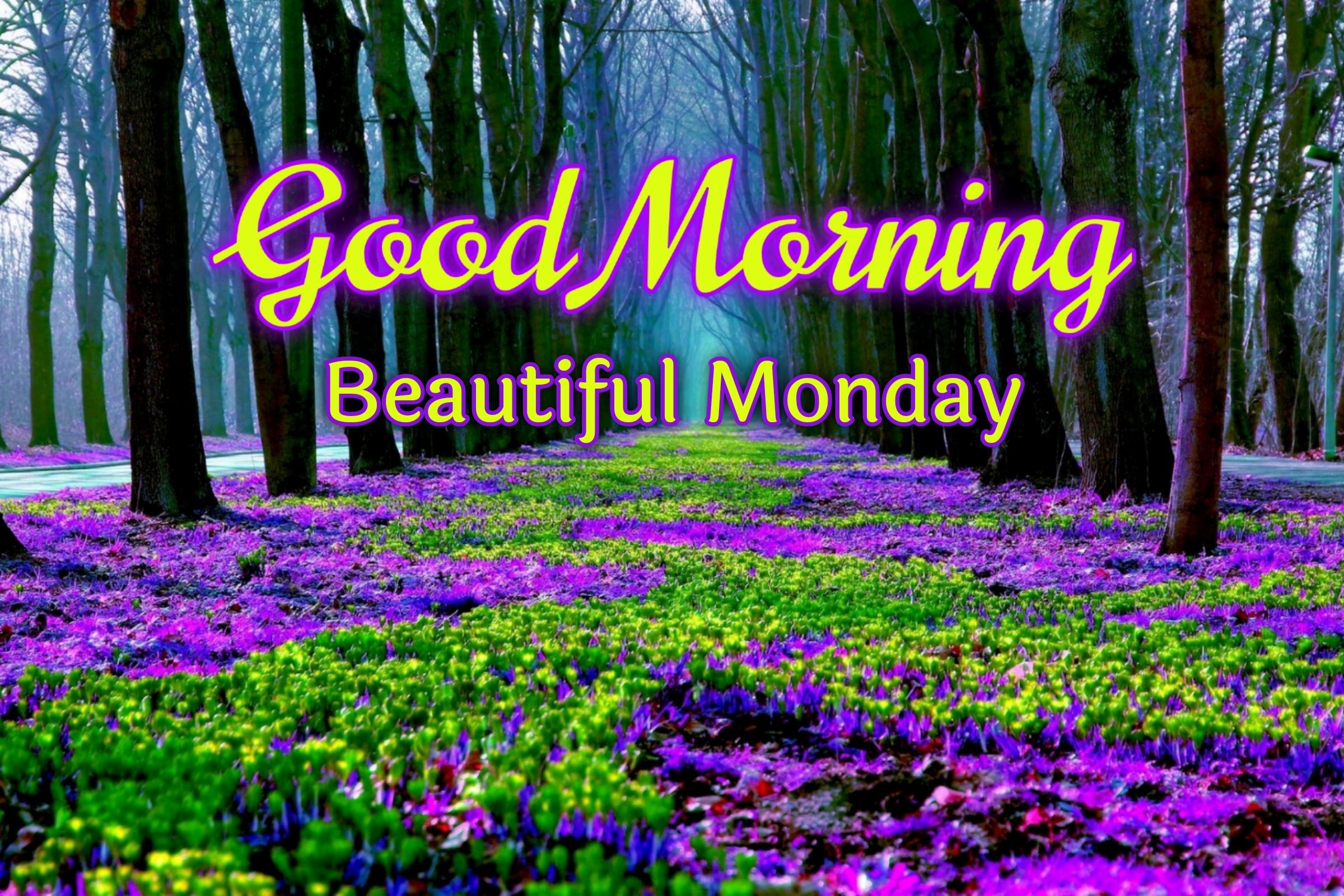 Beautiful Monday Morning Images