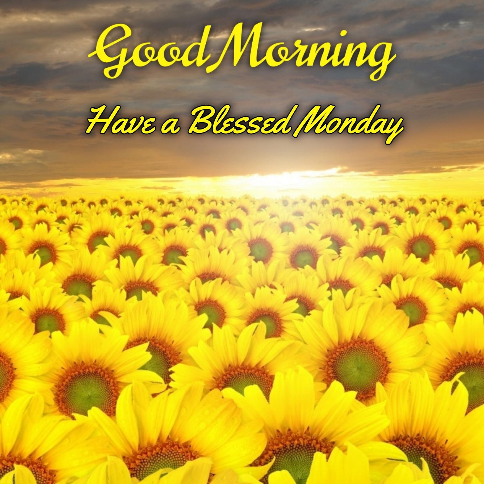 Good Morning Blessed Monday Images