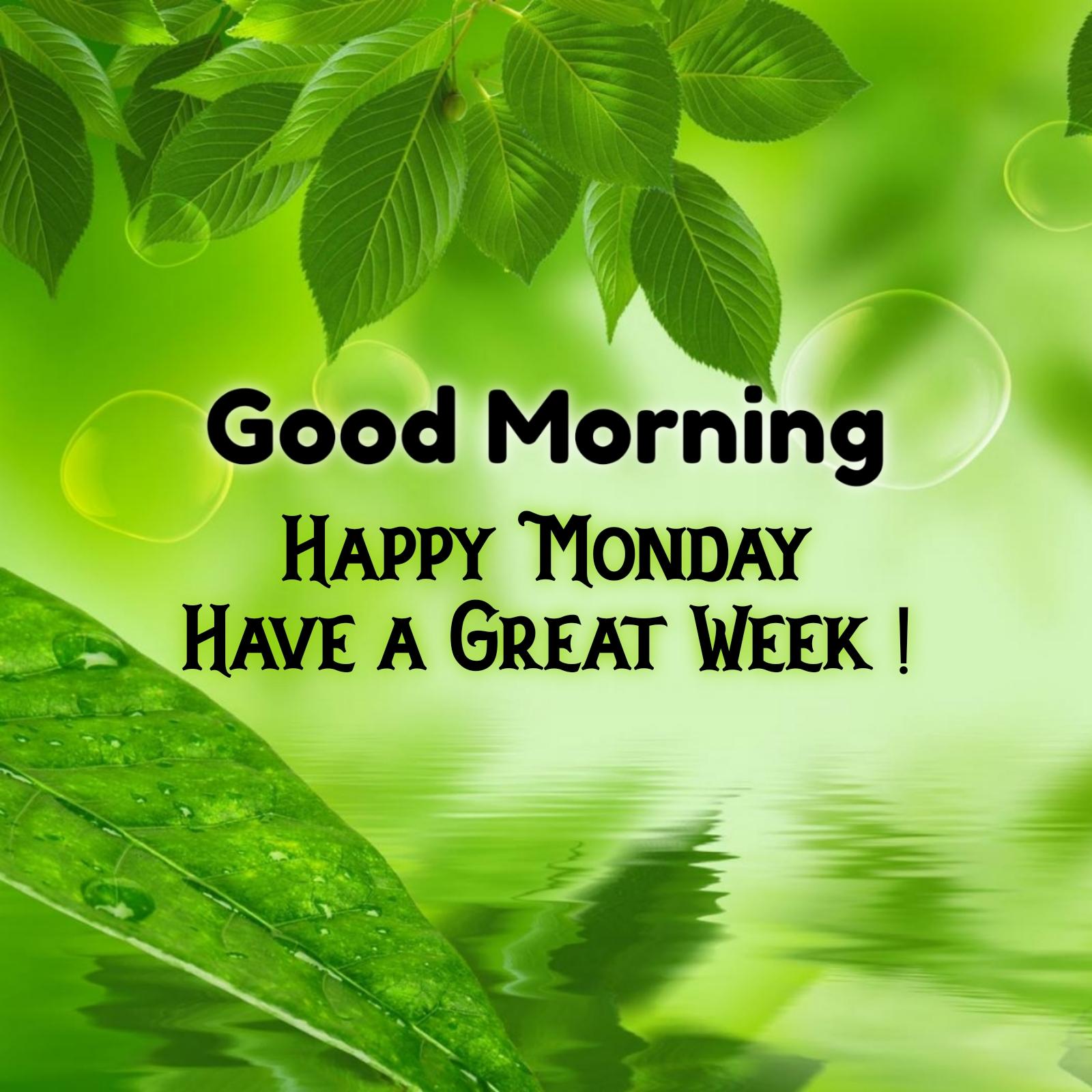 Good Morning Happy Monday Have a Great Week Images