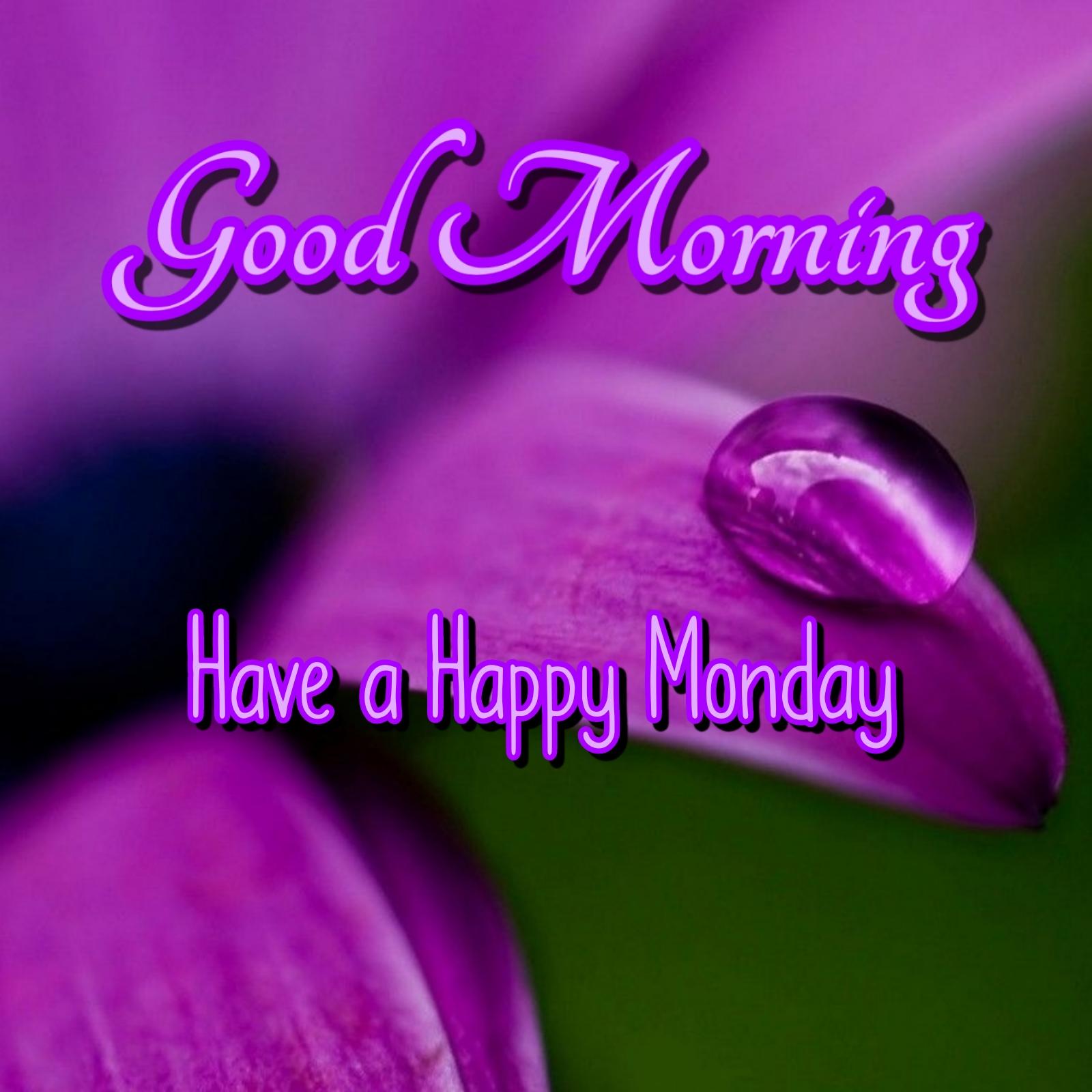 Good Morning Have a Happy Monday Images 