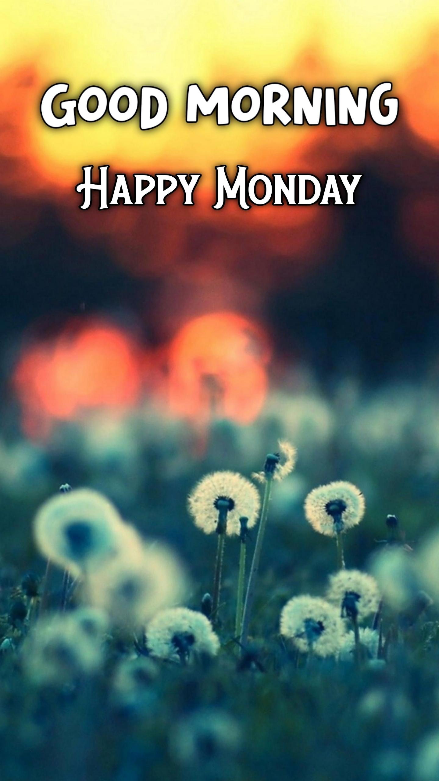 Good Morning Monday Hd Images