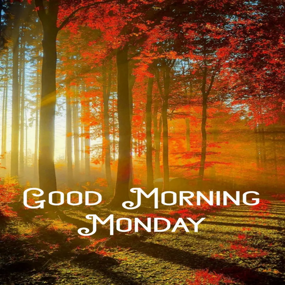 Happy Monday Images For Whatsapp