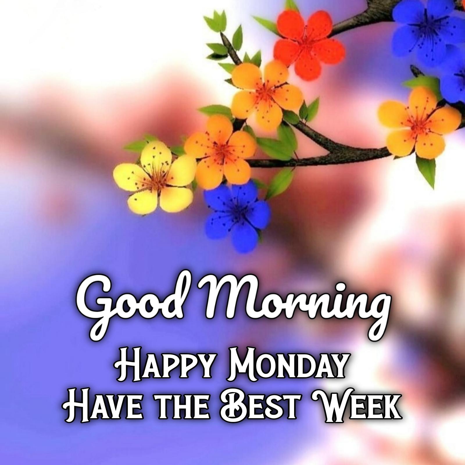 New Good Morning Happy Monday Images 2022 HD Download