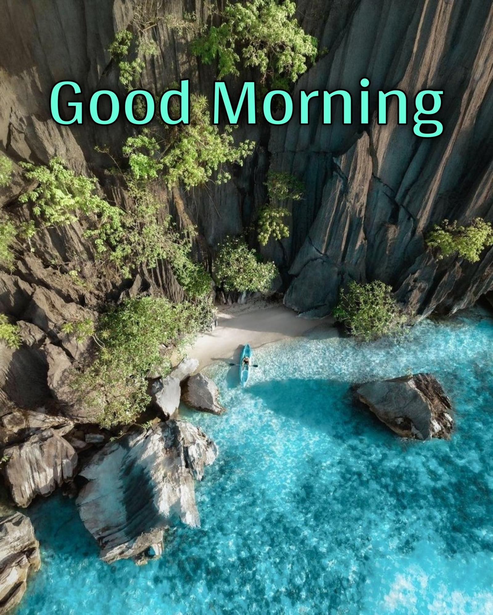 Good Morning Nature Wallpaper