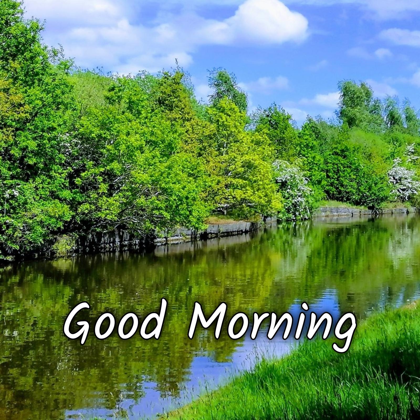 Green Nature Good Morning Images - ShayariMaza