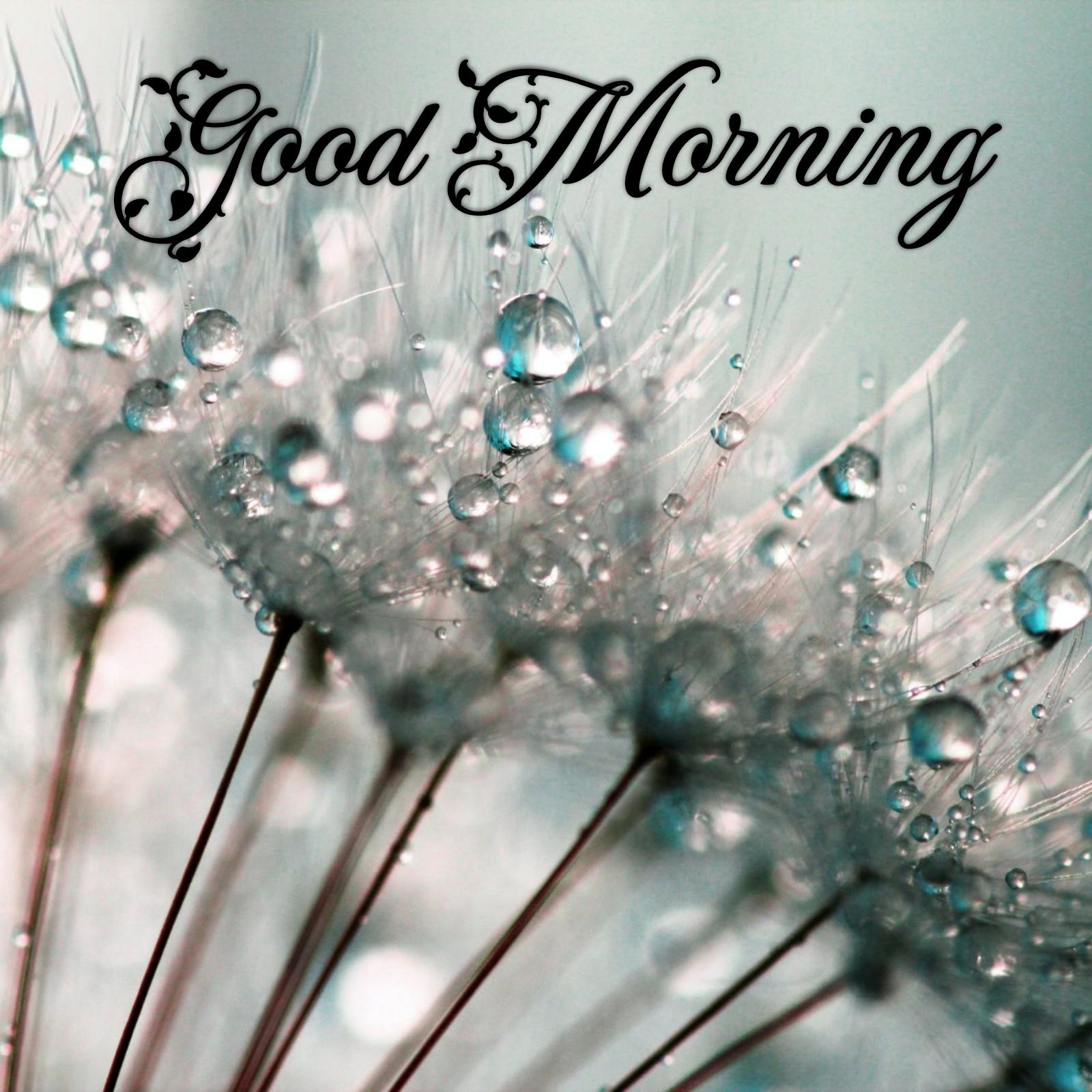 Beautiful Rainy Morning Images