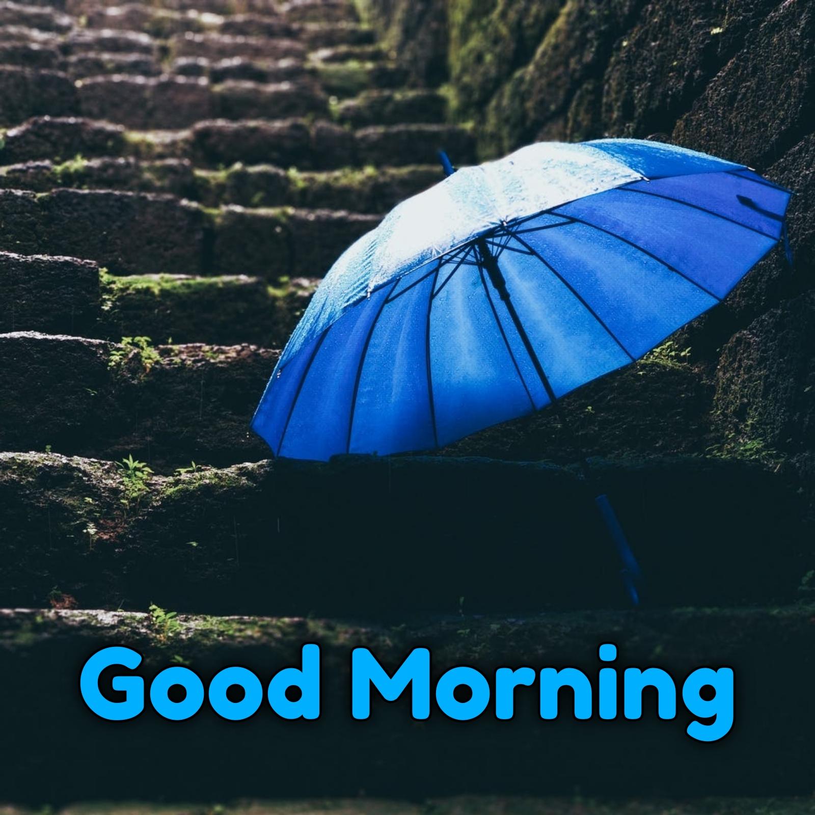 Good Morning Images With Umbrella