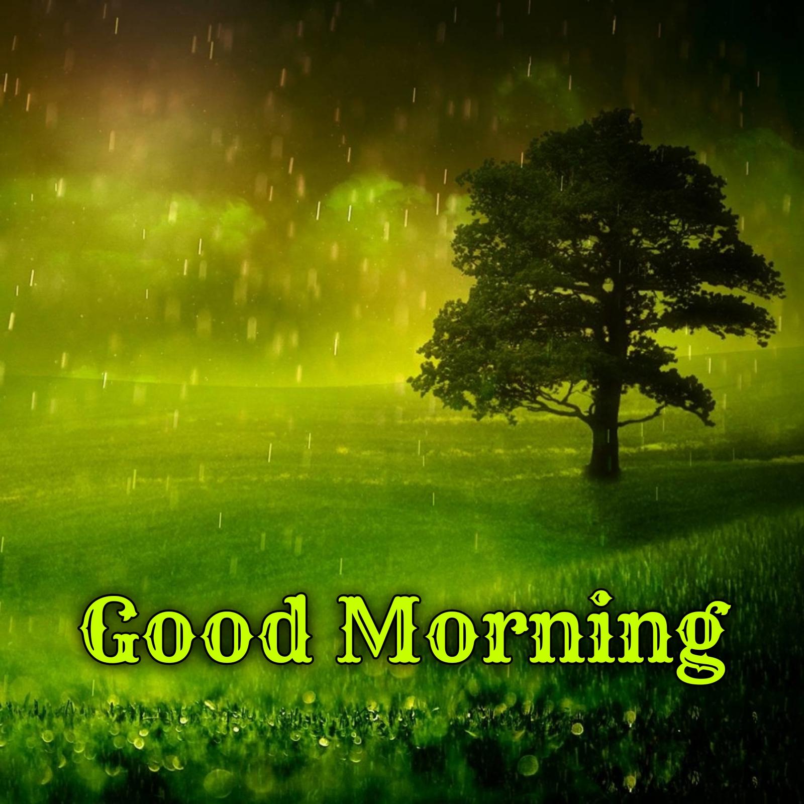 Good Morning Nature Rain Images
