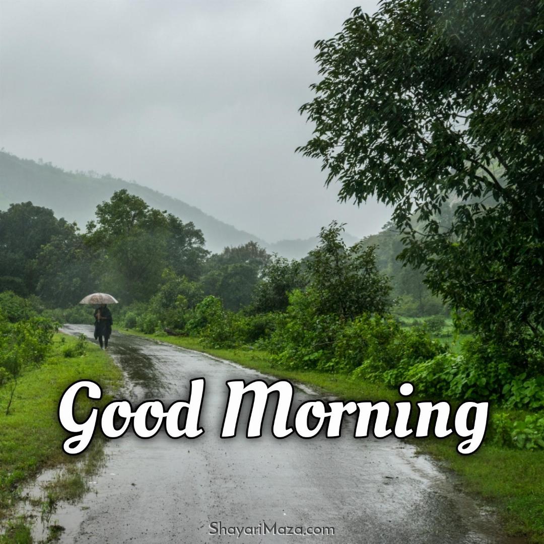 Good Morning Rain Nature Images