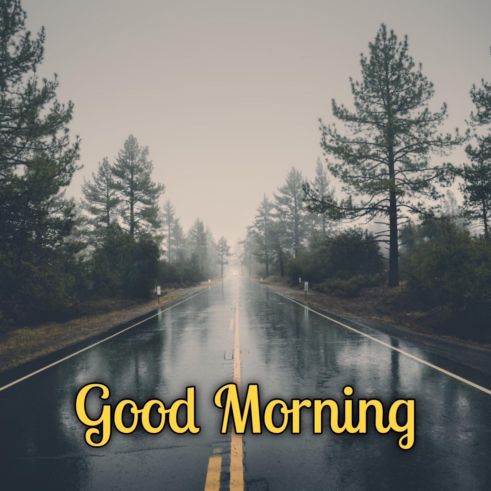 Good Morning Rain Road Images
