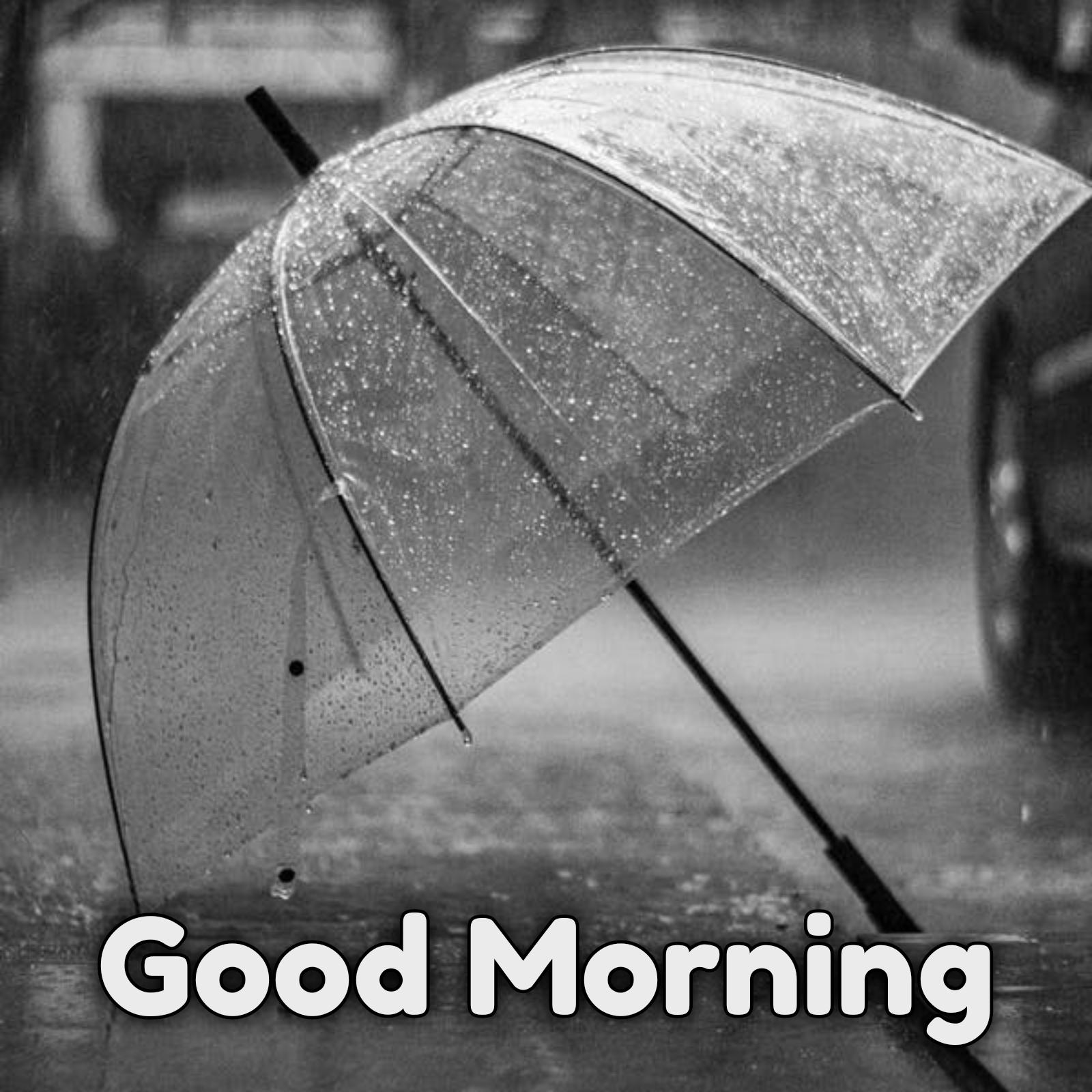 Good Morning Rain Umbrella Images
