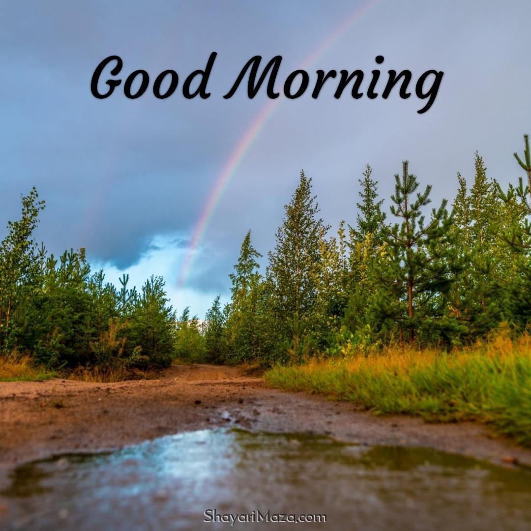 Good Morning Rainbow Images