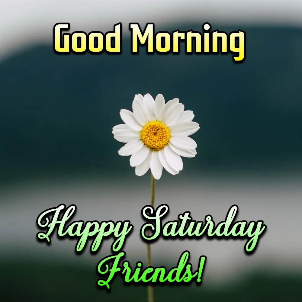 Good Morning Happy Saturday Friends Images