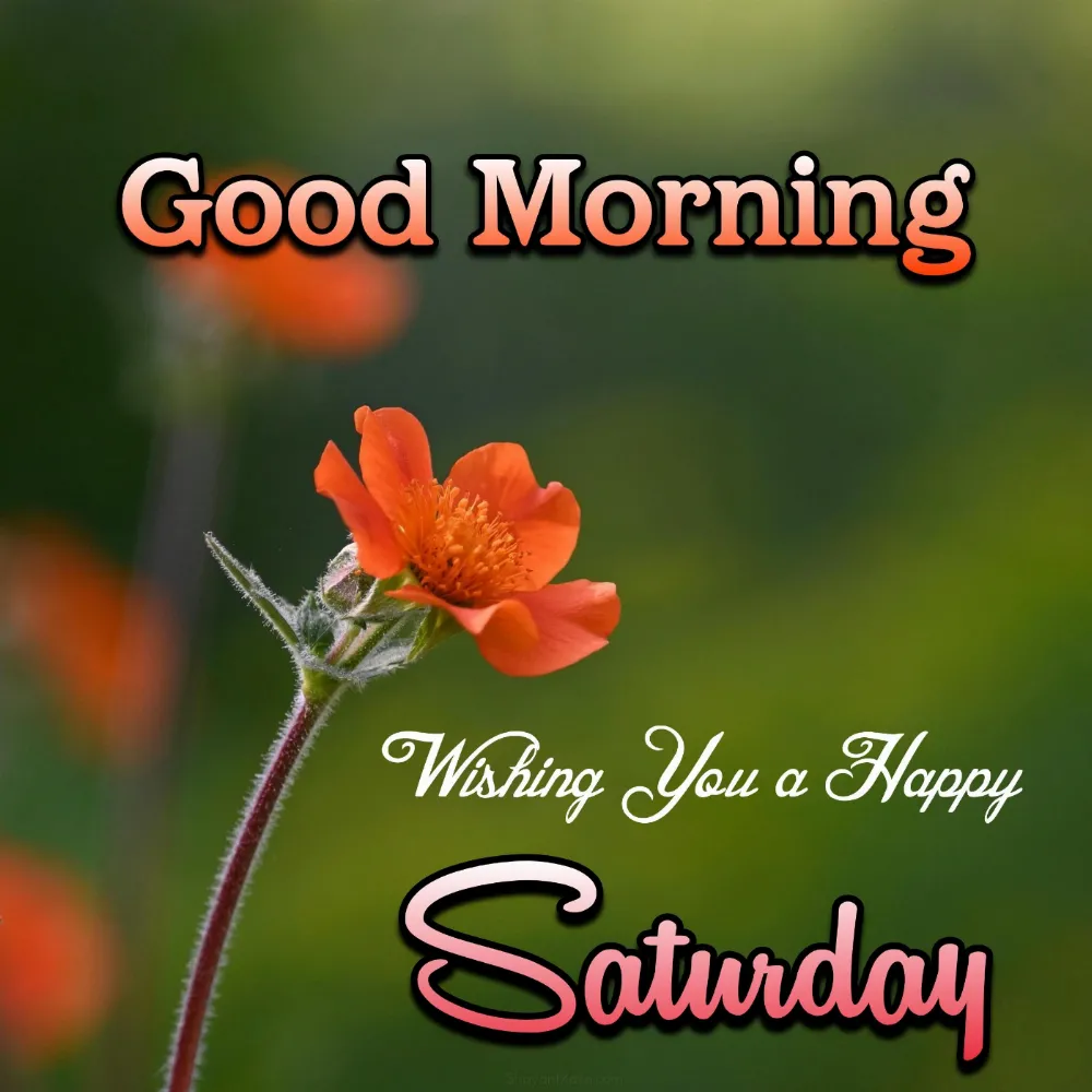 Good Morning Wishing You A Happy Saturday Images
