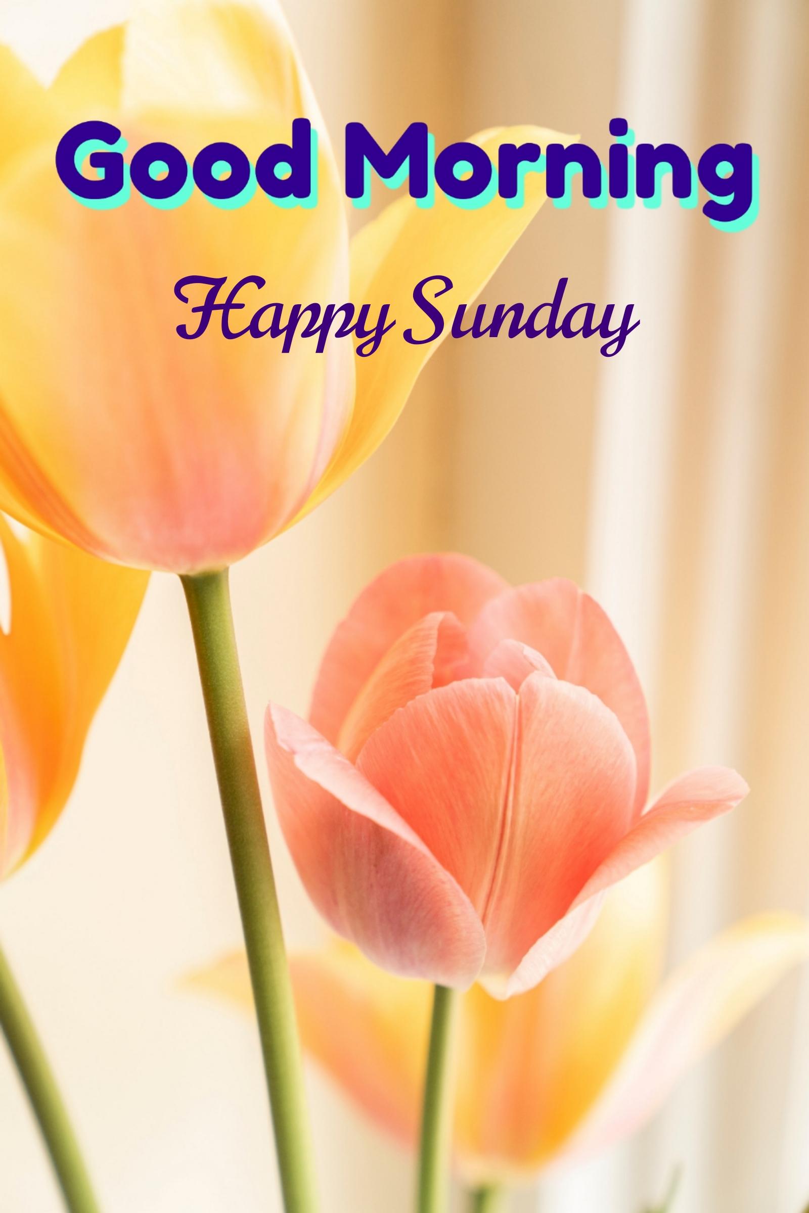 Happy Sunday Images For Whatsapp